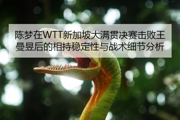 陈梦在WTT新加坡大满贯决赛击败王曼昱后的相持稳定性与战术细节分析